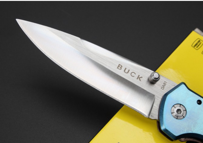 Buck-DA81 folding knife