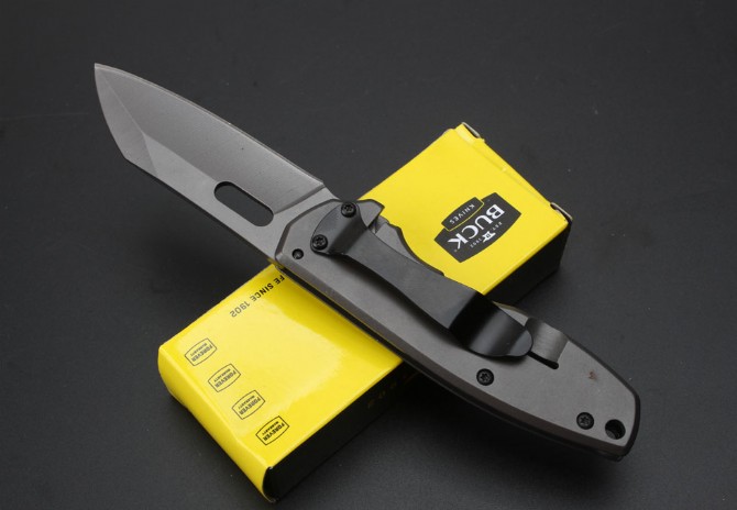 Buck-DA103 folding knife