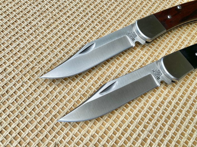 Steel head-Buck110 folding knife