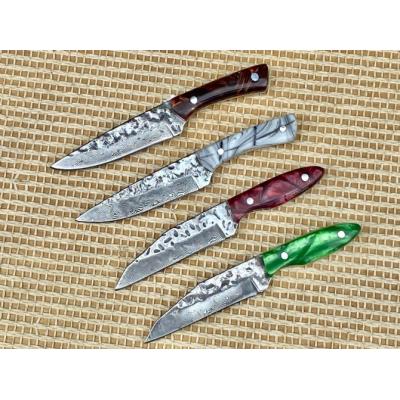 Little Butcher - Damascus Mini Dagger