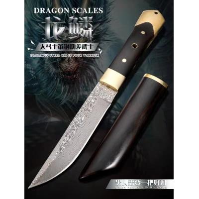 Upgraded Version - Dragon Scale Samurai Fixed Knife