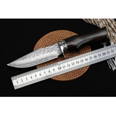 Cold Light Hunting Knife - Damascus Handmade Knife