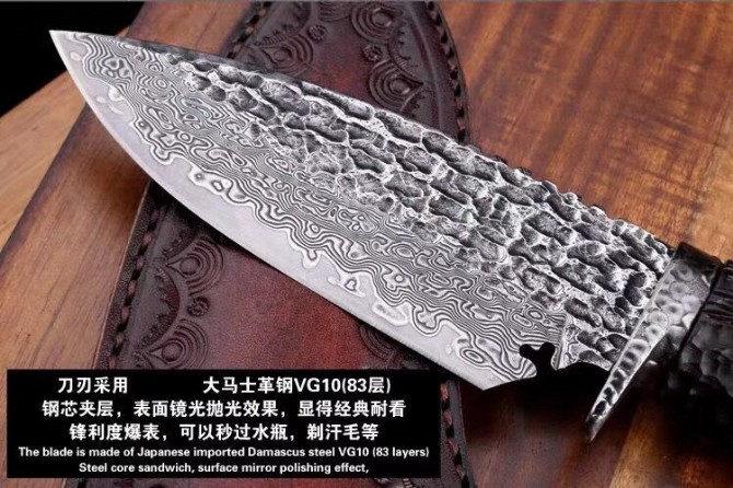 2020 Japanese VG10 Damascus Steel [Lion]