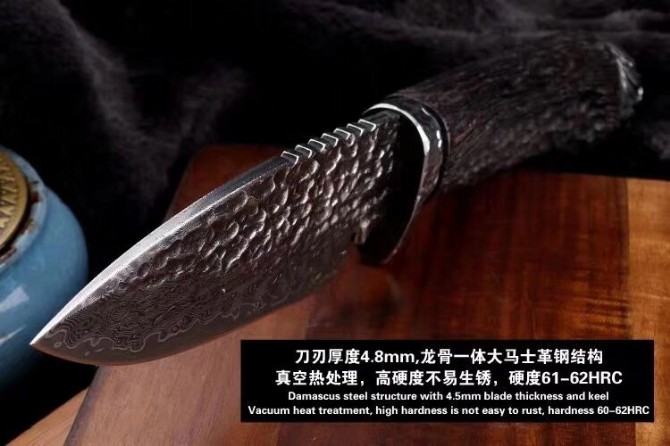 2020 Japanese VG10 Damascus Steel [Lion]