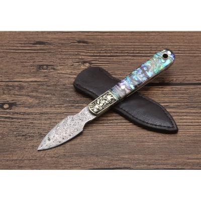 Abalone Shell-Damascus Tea Knife