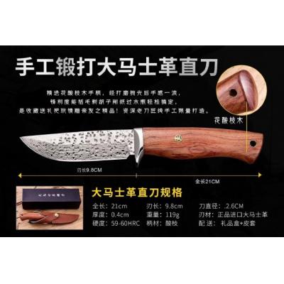 Polka Damascus Steel Fixed Knife