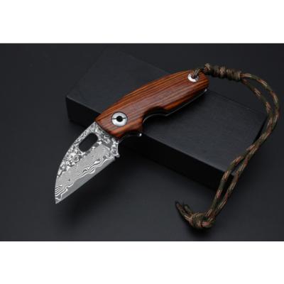 Thomas Toucan Damascus Folding Knife