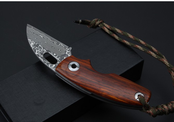 Thomas Toucan Damascus Folding Knife