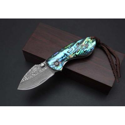 Damascus Collectible Knife