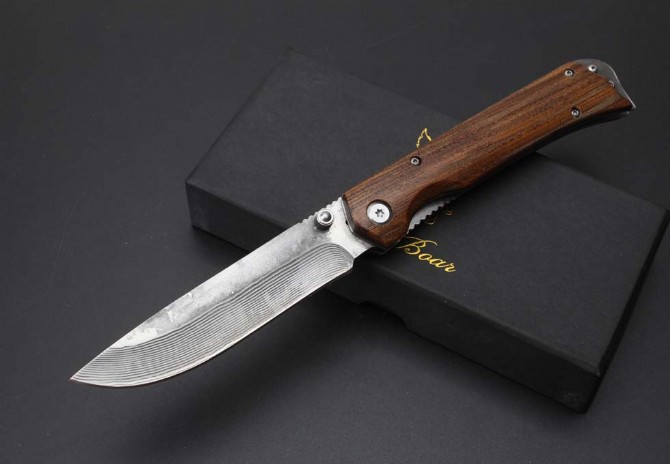 Damascus-Mountain Phoenix Beauty Folding Knife