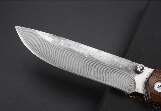 Damascus-Mountain Phoenix Beauty Folding Knife